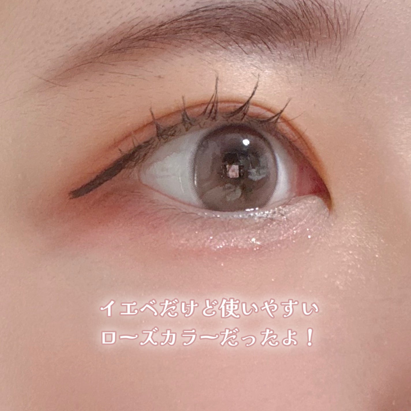 ソフトシアーマルチパレット/wakemake/アイシャドウパレットを使ったクチコミ(4枚目)