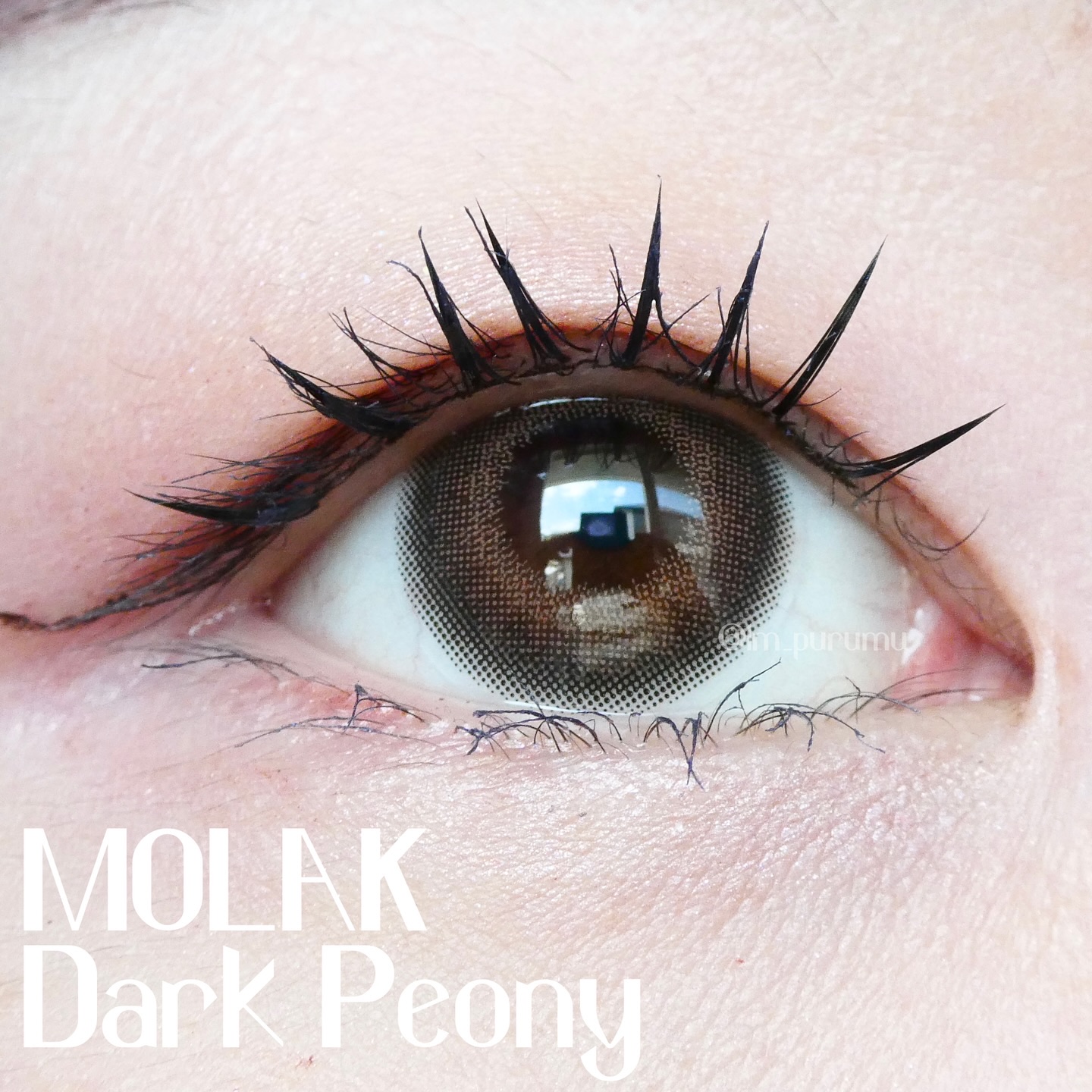 MOLAK 1day/MOLAK/ワンデー（１DAY）カラコンを使ったクチコミ（1枚目）