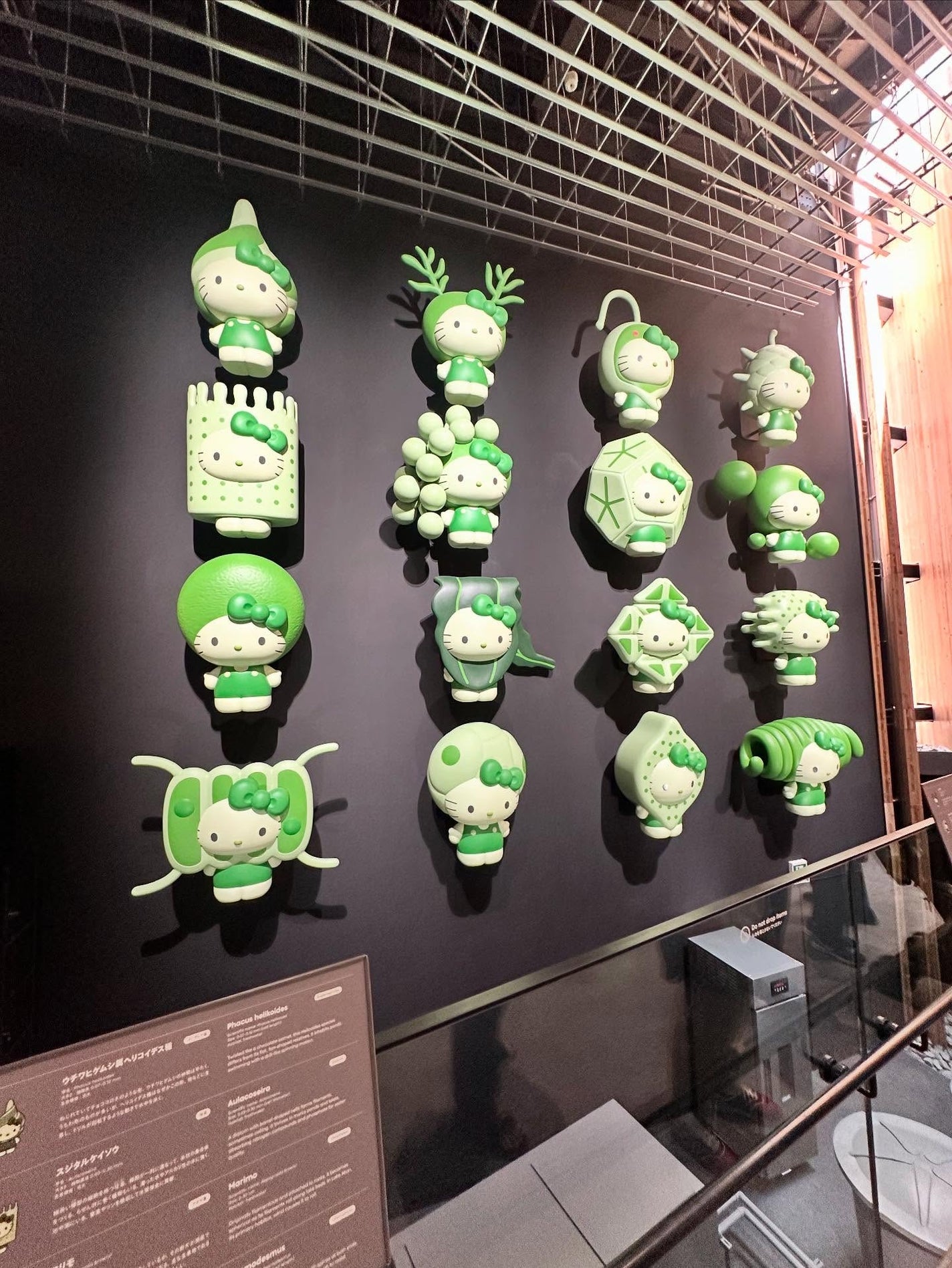 タベルモ/タベルモ/食品を使ったクチコミ(6枚目)