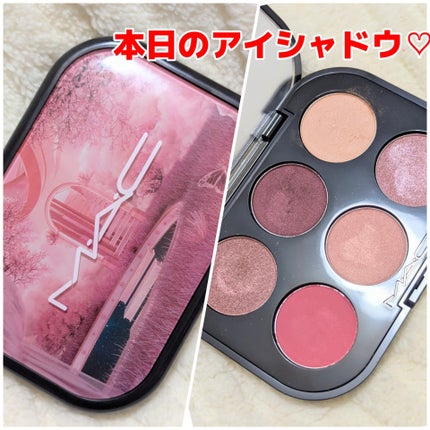 コネクト イン カラー アイシャドウ パレット × 6/M・A・C/アイシャドウパレットを使ったクチコミ(1枚目)