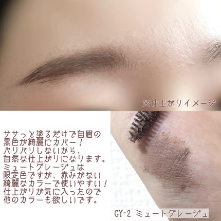 ケイト 3DアイブロウカラーZ/KATE/眉マスカラを使ったクチコミ(4枚目)