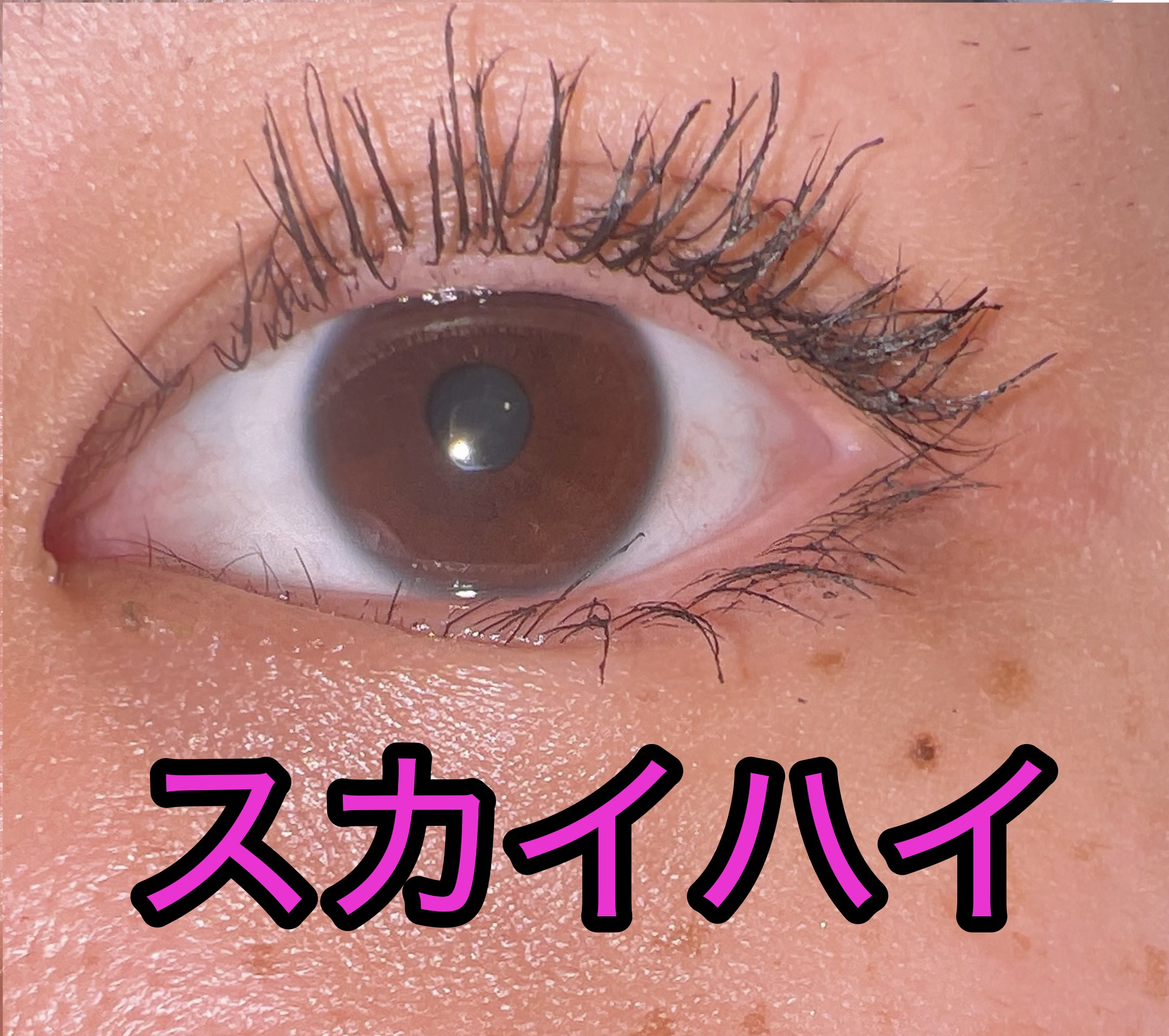 オールデイ ロング アンド カール マスカラ/Milk Touch/マスカラを使ったクチコミ（2枚目）