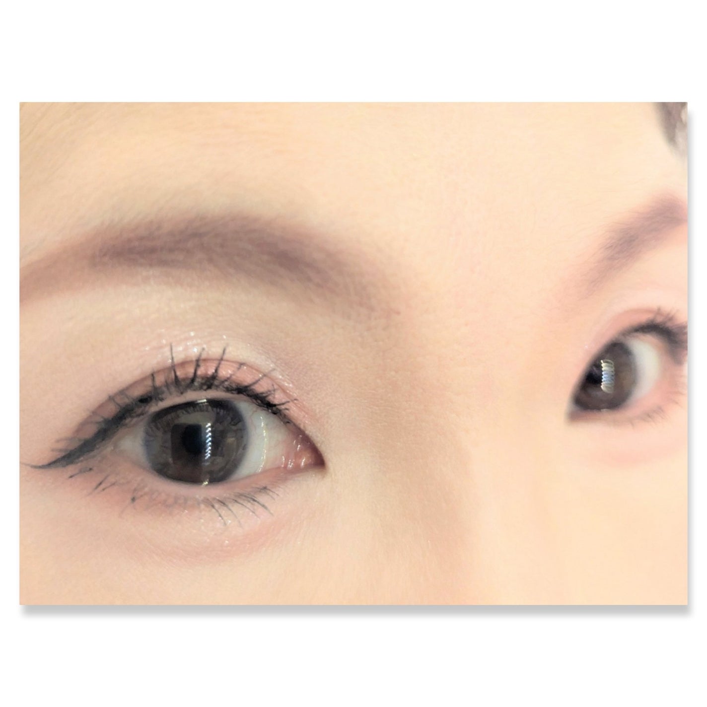 マイキティアイパレット/MilleFée/アイシャドウパレットを使ったクチコミ(2枚目)