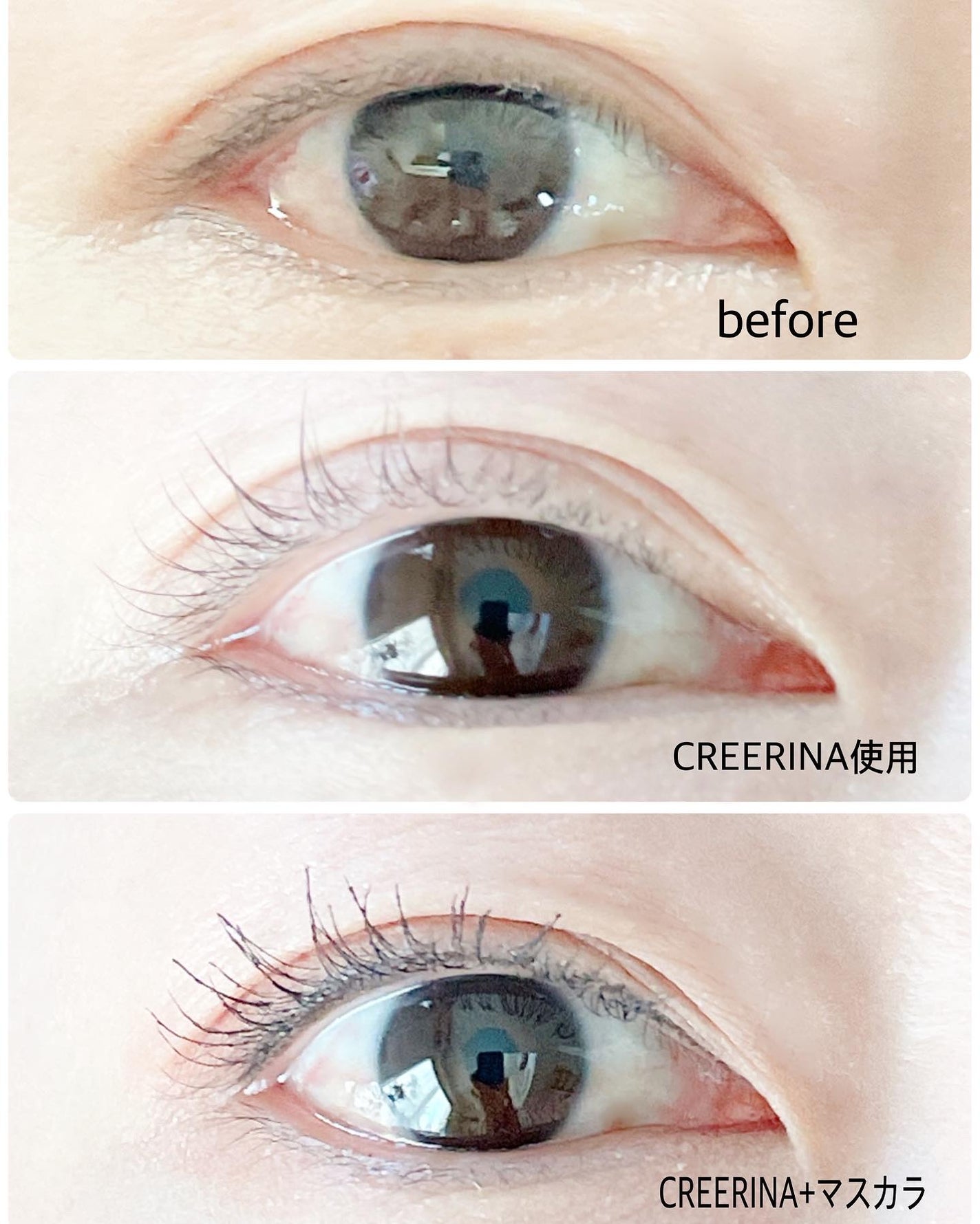 アイラッシュデザインメイカー/クレーリナ/マスカラ下地を使ったクチコミ(3枚目)