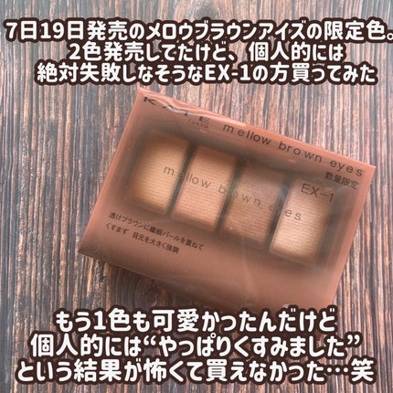 ケイト メロウブラウンアイズ/KATE/アイシャドウパレットを使ったクチコミ(2枚目)