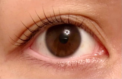 フェニックス アイラッシュサポートジェル/オデットアイラッシュコスメティクス/まつげ美容液を使ったクチコミ(2枚目)