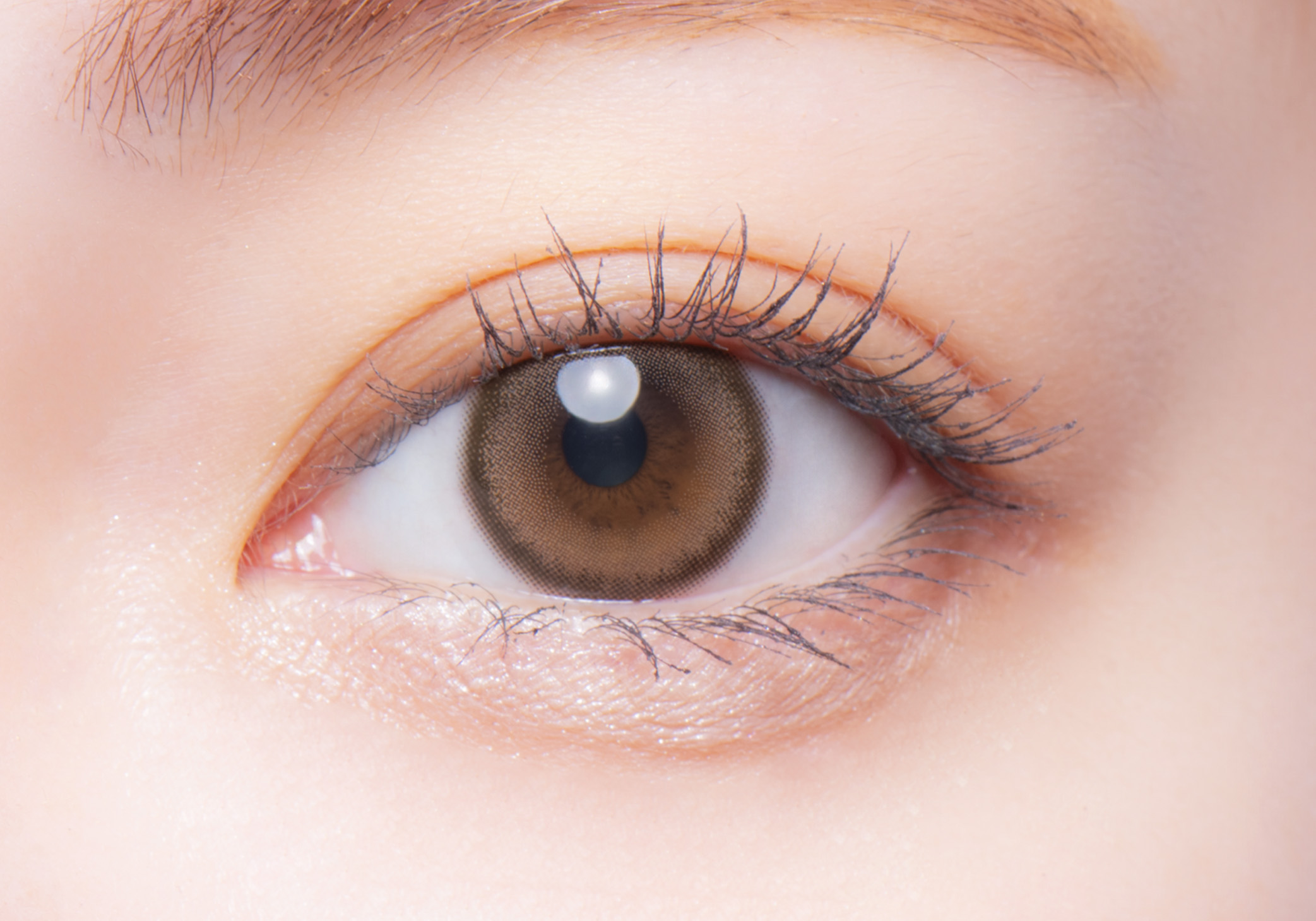 melotte 1day オンリーマイン