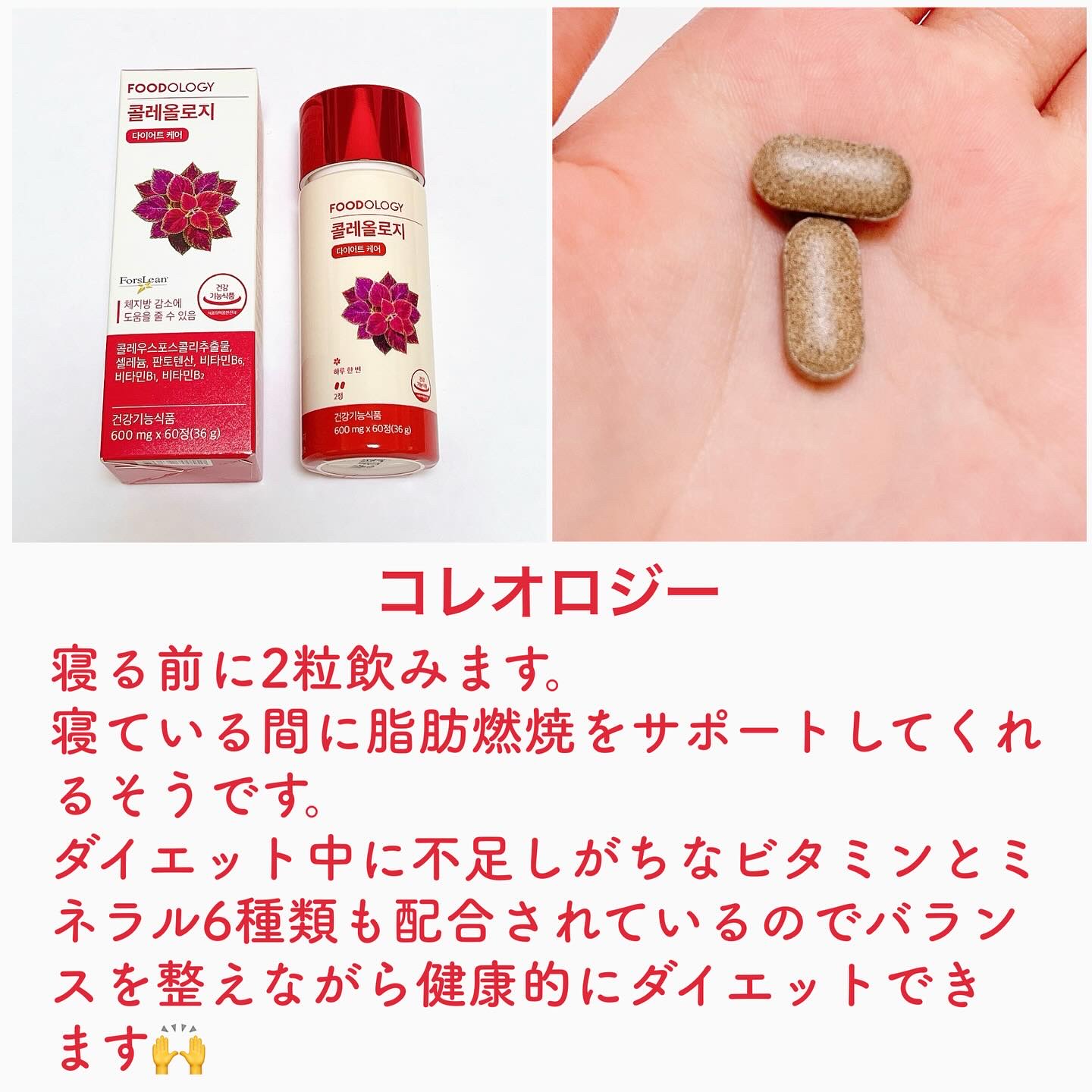 FOODOLOGY フードオロジー コレオロジー 錠剤 600mg 60粒×3箱 即日発送