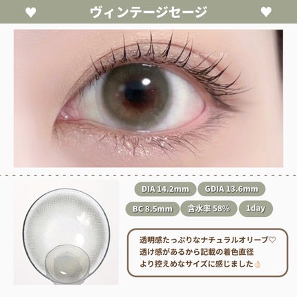 Angelcolor Bambi Series Vintage 1day/AngelColor/ワンデー(1DAY)カラコンを使ったクチコミ(4枚目)