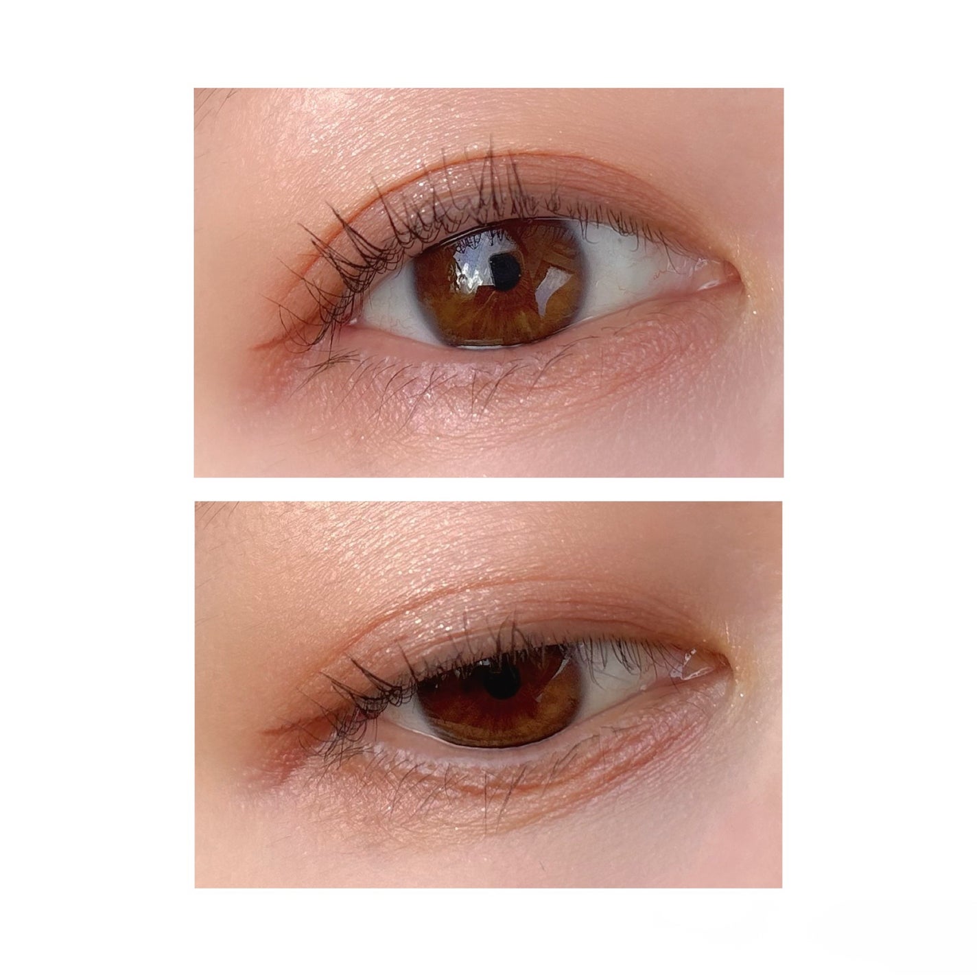 スキンシャドウ デザイニング パレット/DECORTÉ/アイシャドウパレットを使ったクチコミ(4枚目)