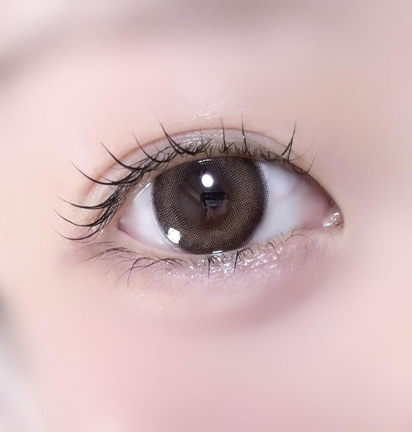 LARME MELTY SERIES(ラルムメルティシリーズ)/LARME/カラーコンタクトレンズを使ったクチコミ（1枚目）