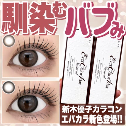 エバーカラーワンデー ナチュラル/エバーカラー/ワンデー(1DAY)カラコンを使ったクチコミ(1枚目)