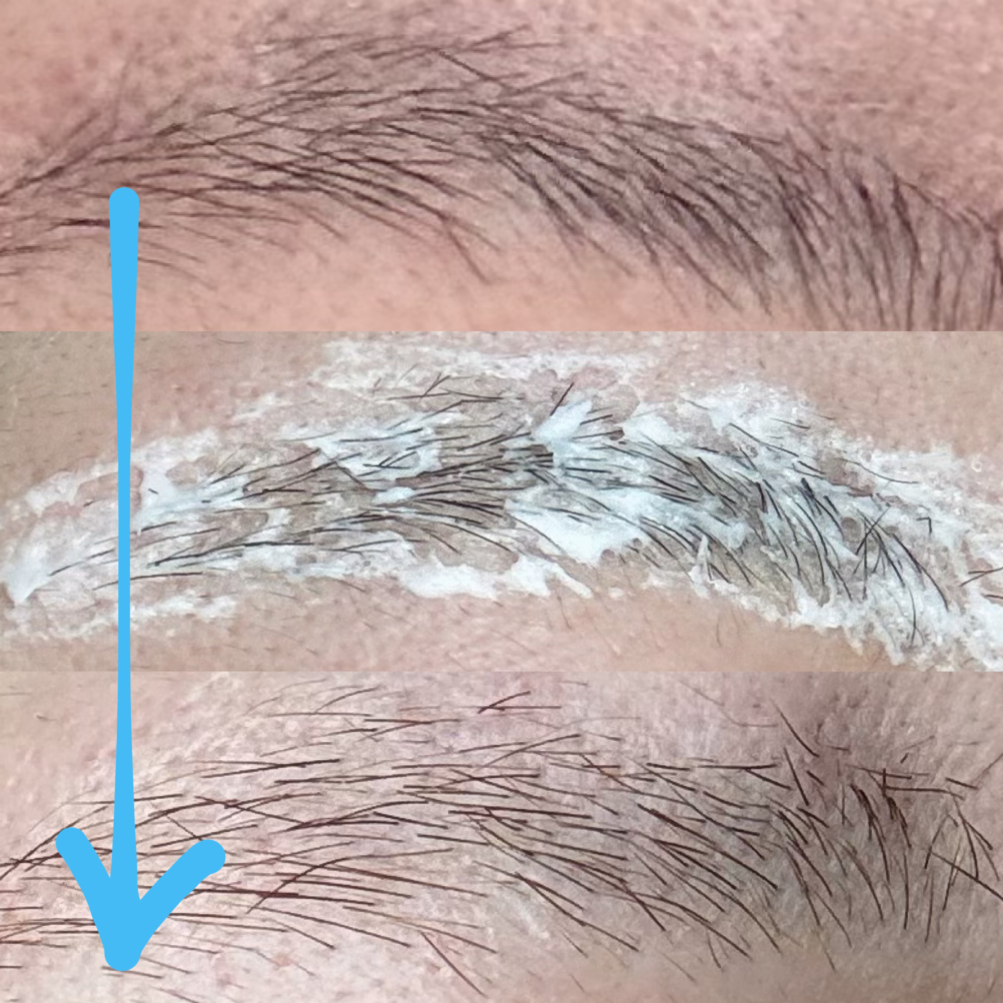 イージーブロウトーンチェンジャー/COSNORI/その他アイブロウを使ったクチコミ（3枚目）