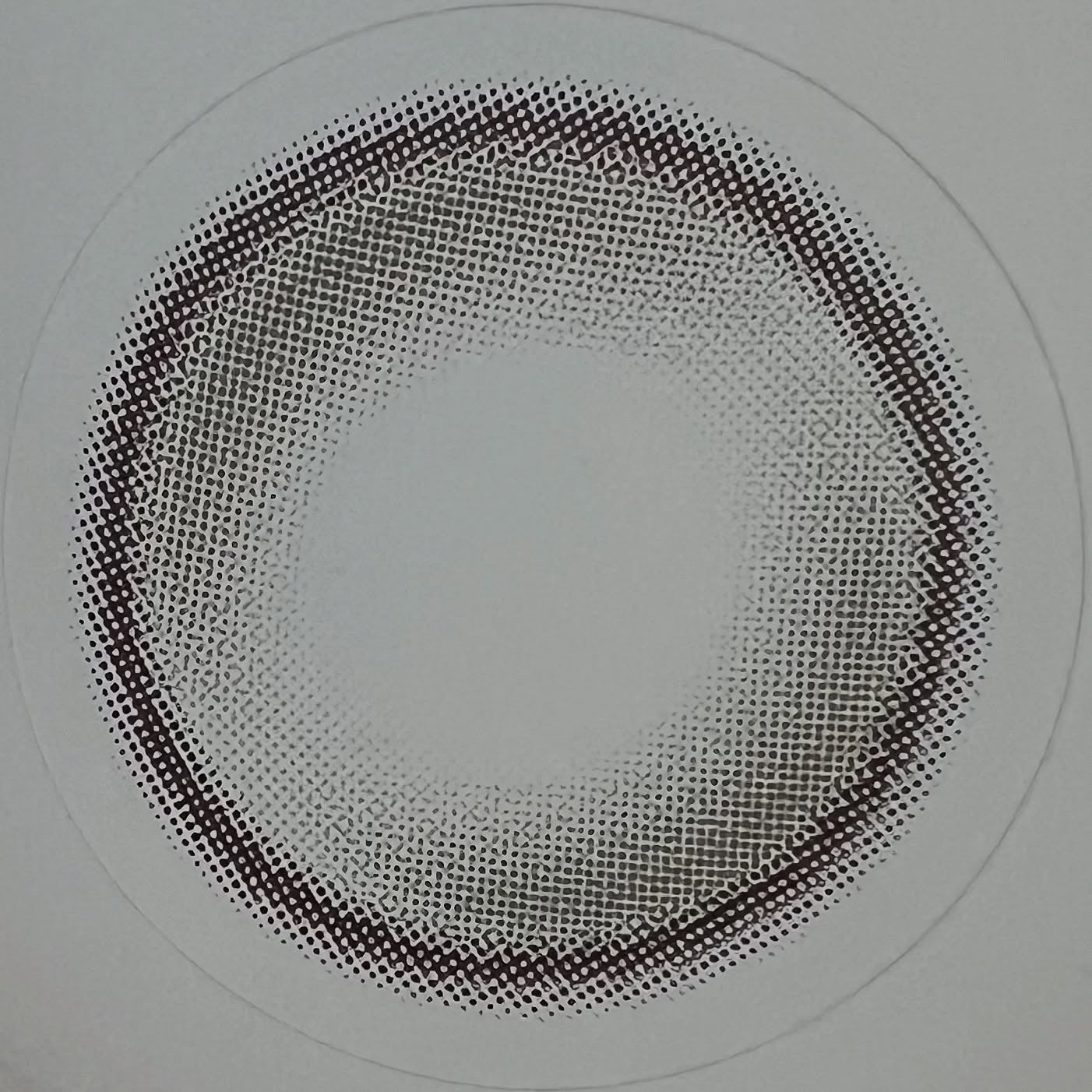 Double Tint 1day/OLENS/カラーコンタクトレンズを使ったクチコミ(8枚目)