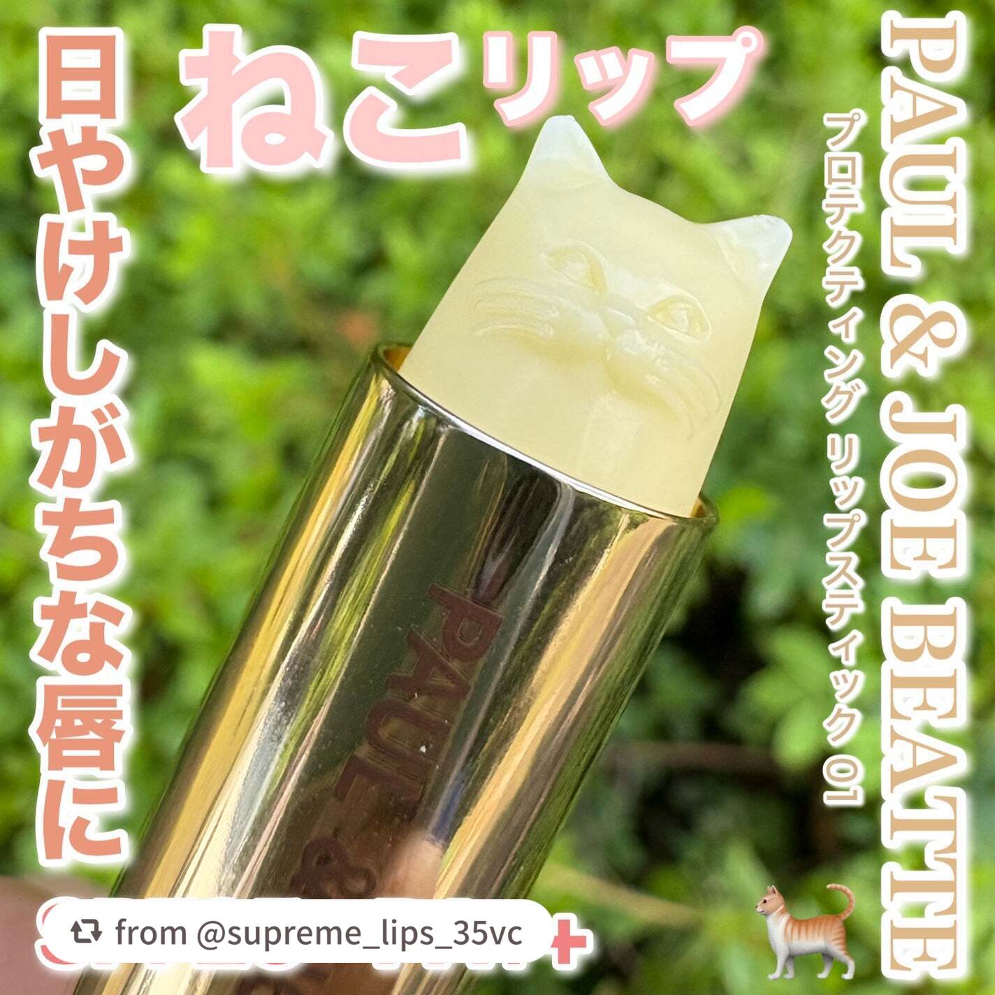 プロテクティング リップスティック/PAUL & JOE BEAUTE/リップケアを使ったクチコミ(1枚目)