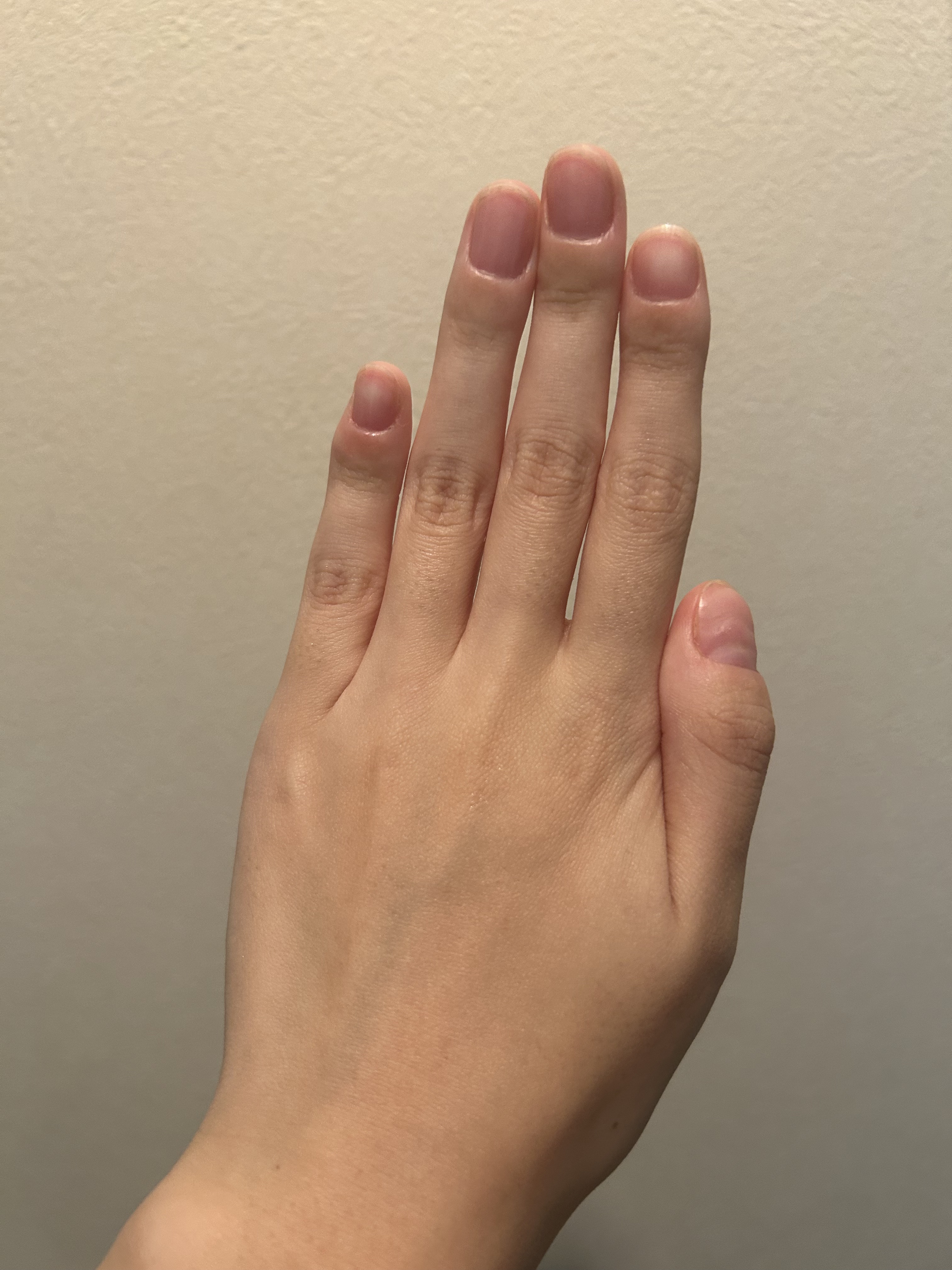 ボタニカルネイルオイル/キャンメイク/ネイルオイル・トリートメントを使ったクチコミ（1枚目）