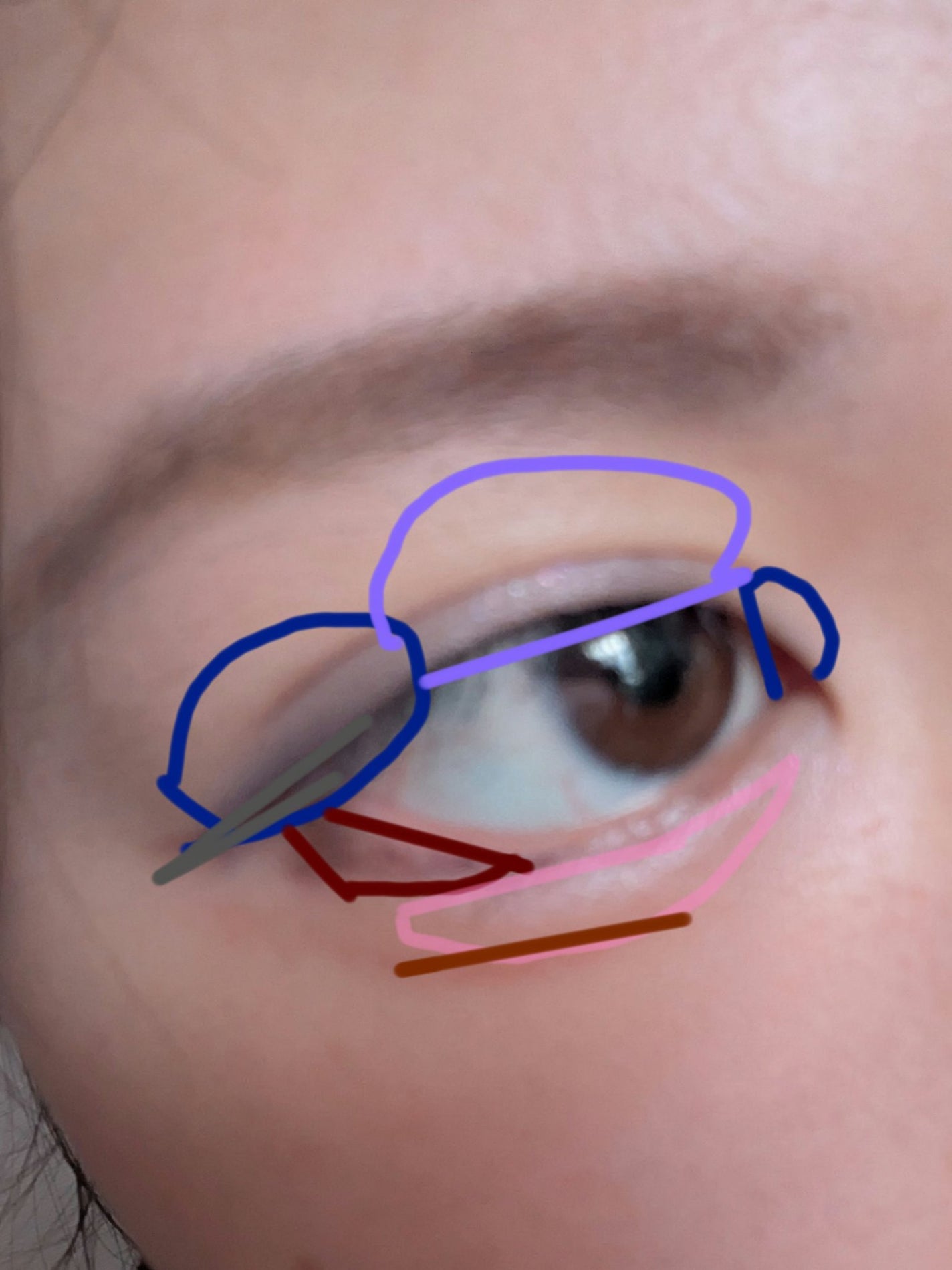 マジョルック(イルミネーター)/MAJOLICA MAJORCA/アイシャドウパレットを使ったクチコミ(2枚目)