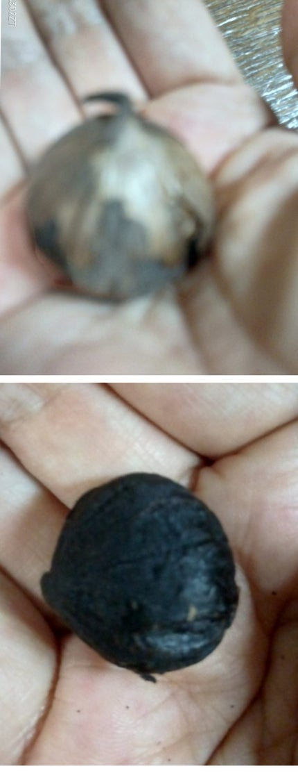 ã䜿ã£ãã¯ãã³ãïŒ3æç®ïŒ