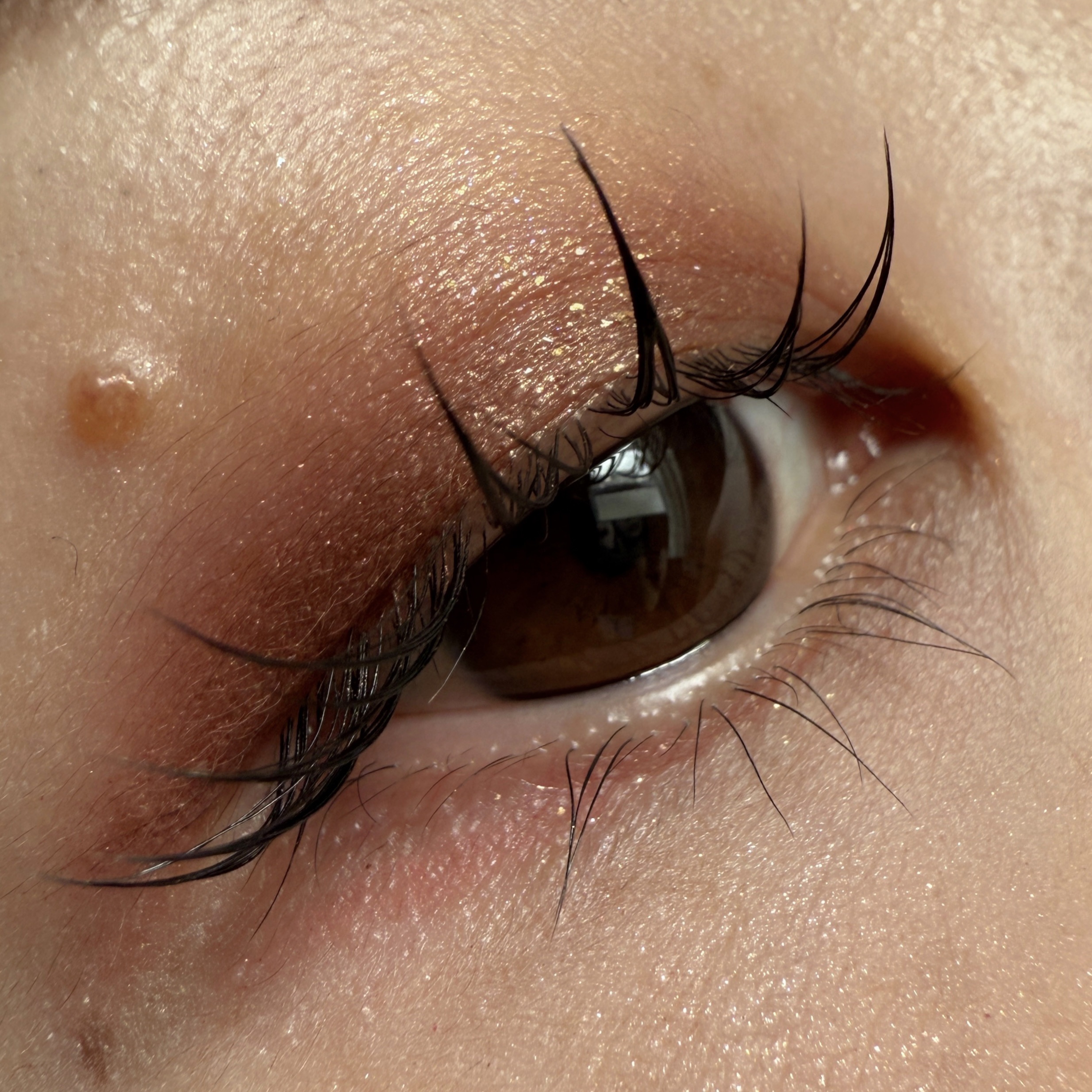 ポップ パウダージェル アイシャドウ/SHISEIDO/単色アイシャドウを使ったクチコミ（2枚目）