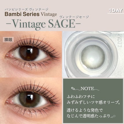 Angelcolor Bambi Series Vintage 1day/AngelColor/ワンデー(1DAY)カラコンを使ったクチコミ(5枚目)
