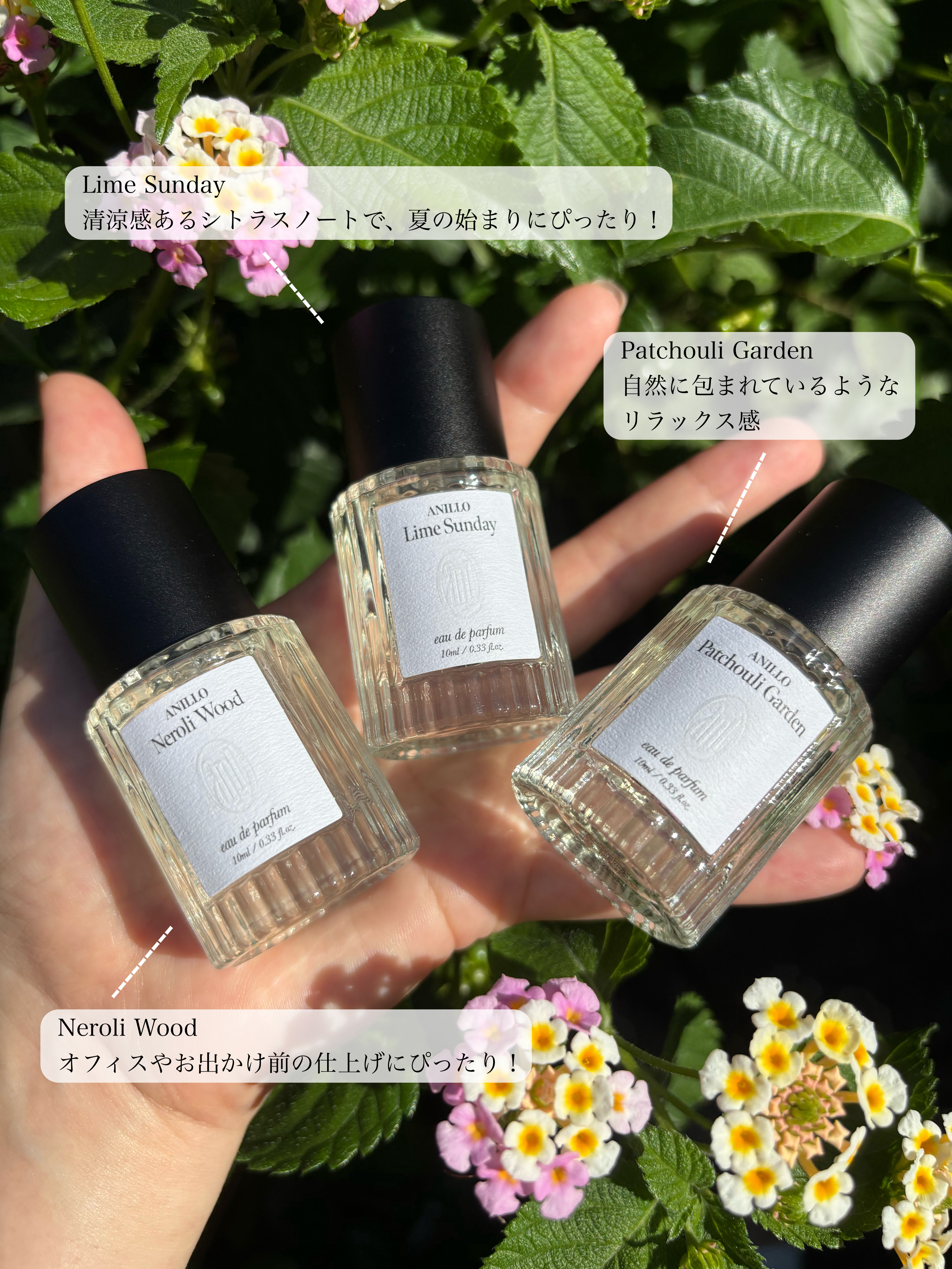 オードパルファム　Lime Sunday/ANILLO/香水(レディース)を使ったクチコミ（3枚目）