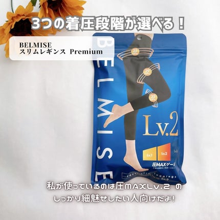 スリムレギンスPremium/BELMISE/着圧ソックス・レギンスを使ったクチコミ(3枚目)