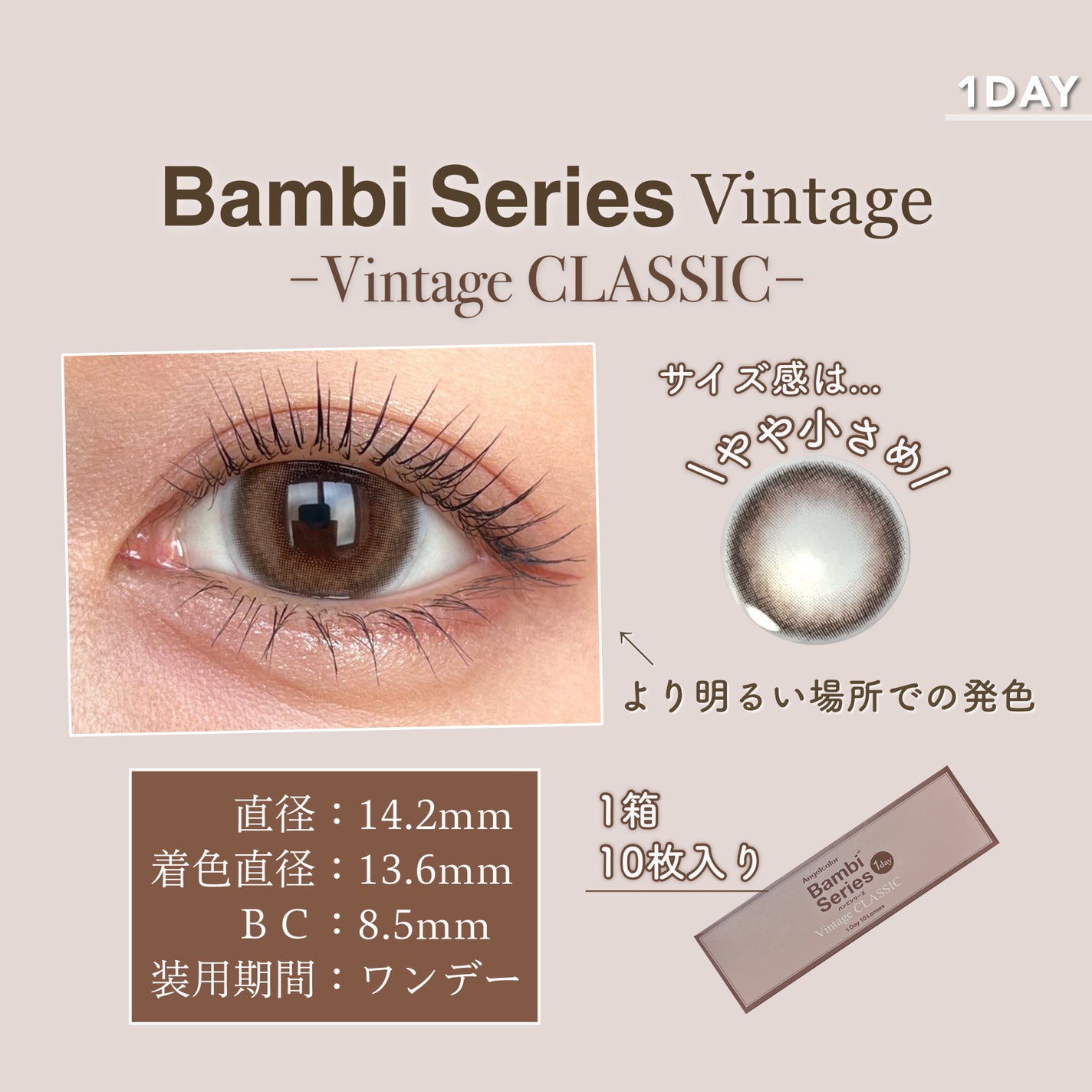 Angelcolor Bambi Series Vintage 1day/AngelColor/ワンデー(1DAY)カラコンを使ったクチコミ(4枚目)
