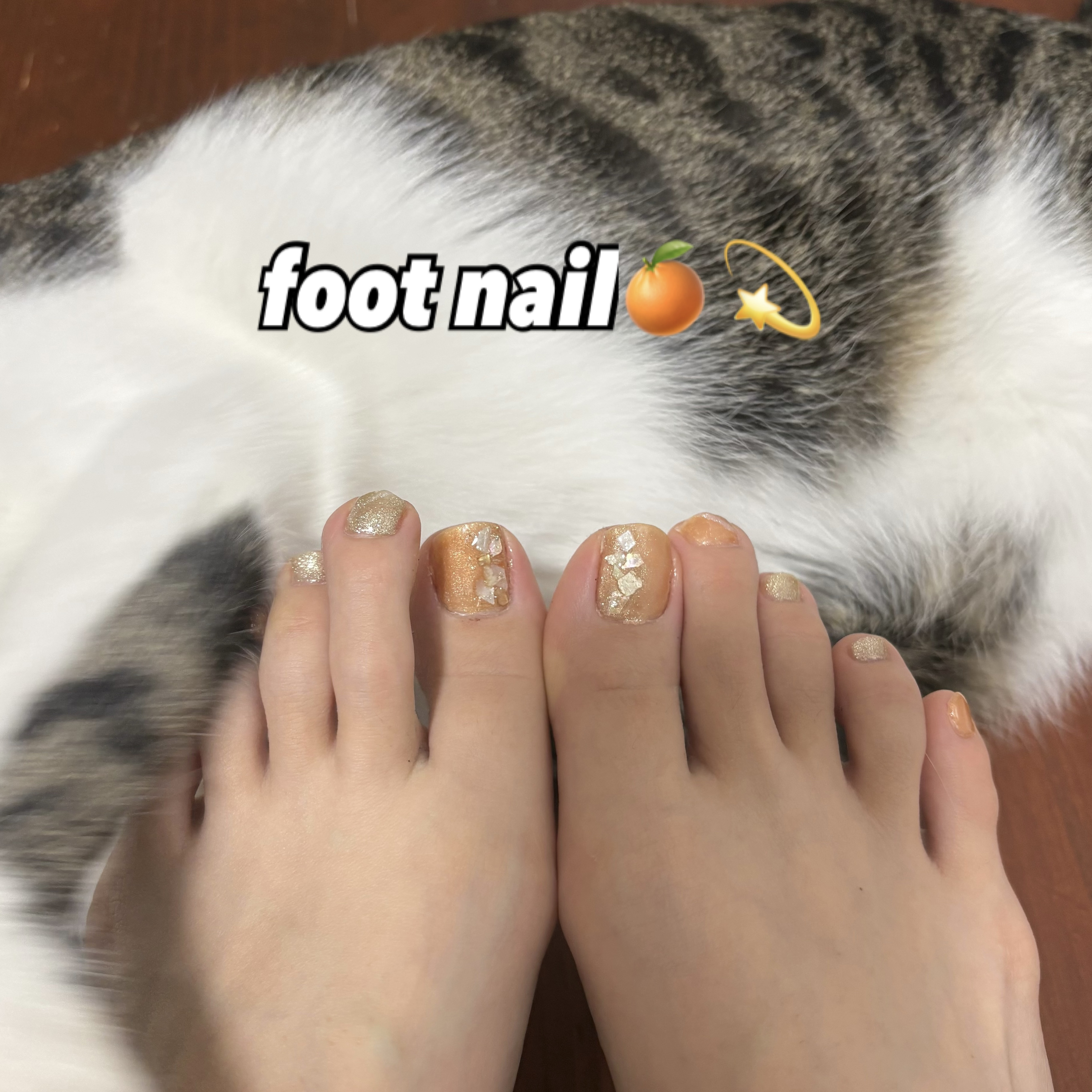 夏のフットネイル🍊🧡

sheinで購入したオレンジ色と、セリアのゴールドで夏っぽいフットネイルにしてみました🐱🤍

ストーンもsheinで購入したもので、キラキラ可愛くてお気に入りです、、、🥺🌙🫧

猫ちゃん背景ありがとね〜