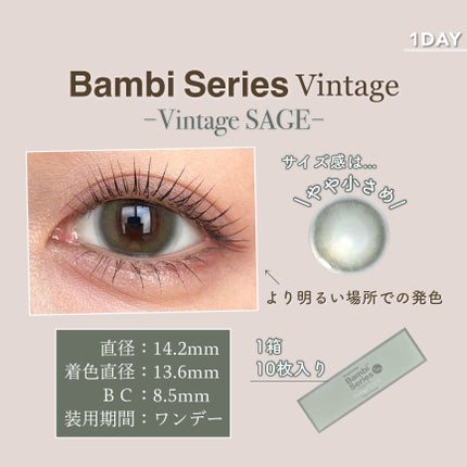 Angelcolor Bambi Series Vintage 1day/AngelColor/ワンデー(1DAY)カラコンを使ったクチコミ(6枚目)