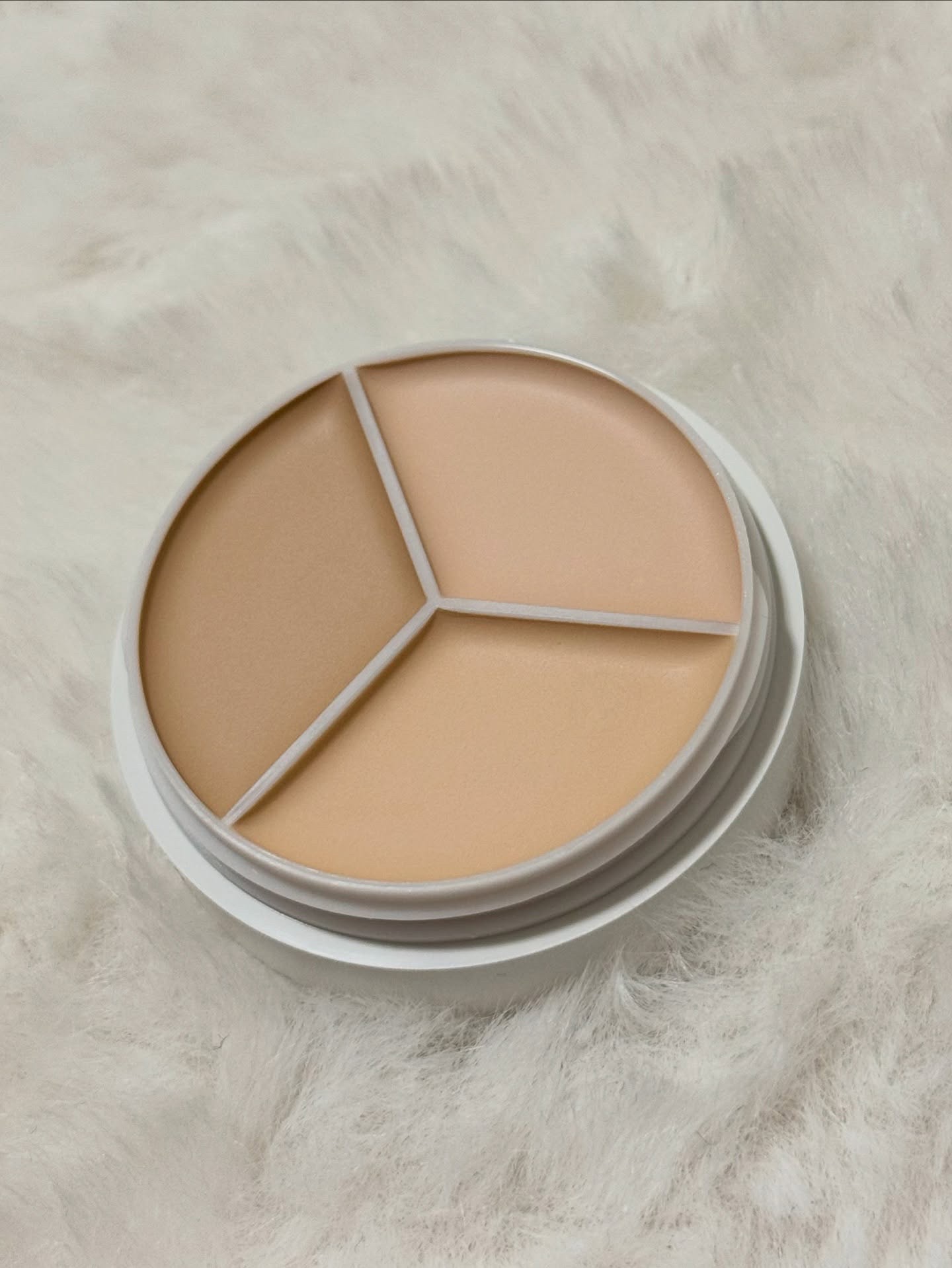 カバーアッププロコンシーラー/TFIT/パレットコンシーラーを使ったクチコミ（2枚目）