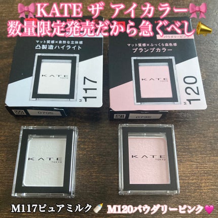 ケイト ザ アイカラー/KATE/単色アイシャドウを使ったクチコミ(1枚目)