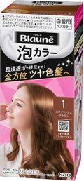泡カラー 白髪用 1 スタイリッシュブラウン