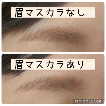 フラッフデザイン アイブロウパウダー/Visée/パウダーアイブロウを使ったクチコミ(3枚目)