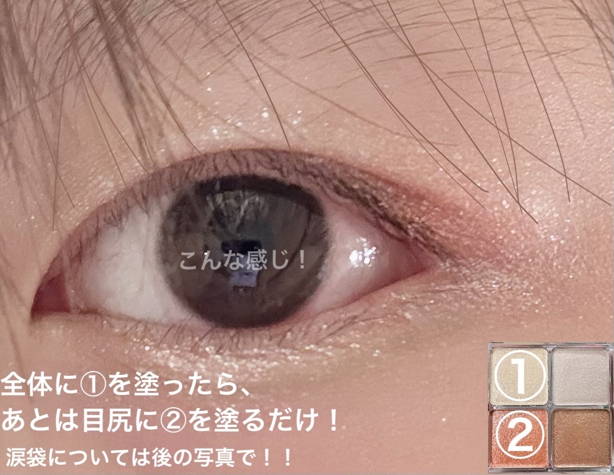 ぷくぷく涙袋パレット/MilleFée/アイシャドウパレットを使ったクチコミ（3枚目）