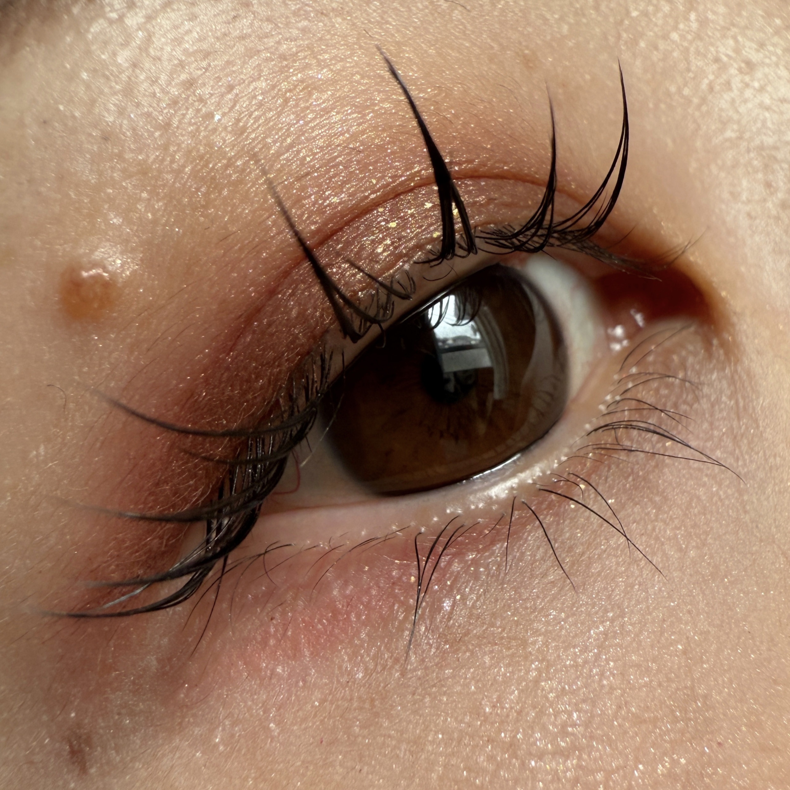 ポップ パウダージェル アイシャドウ/SHISEIDO/単色アイシャドウを使ったクチコミ（1枚目）