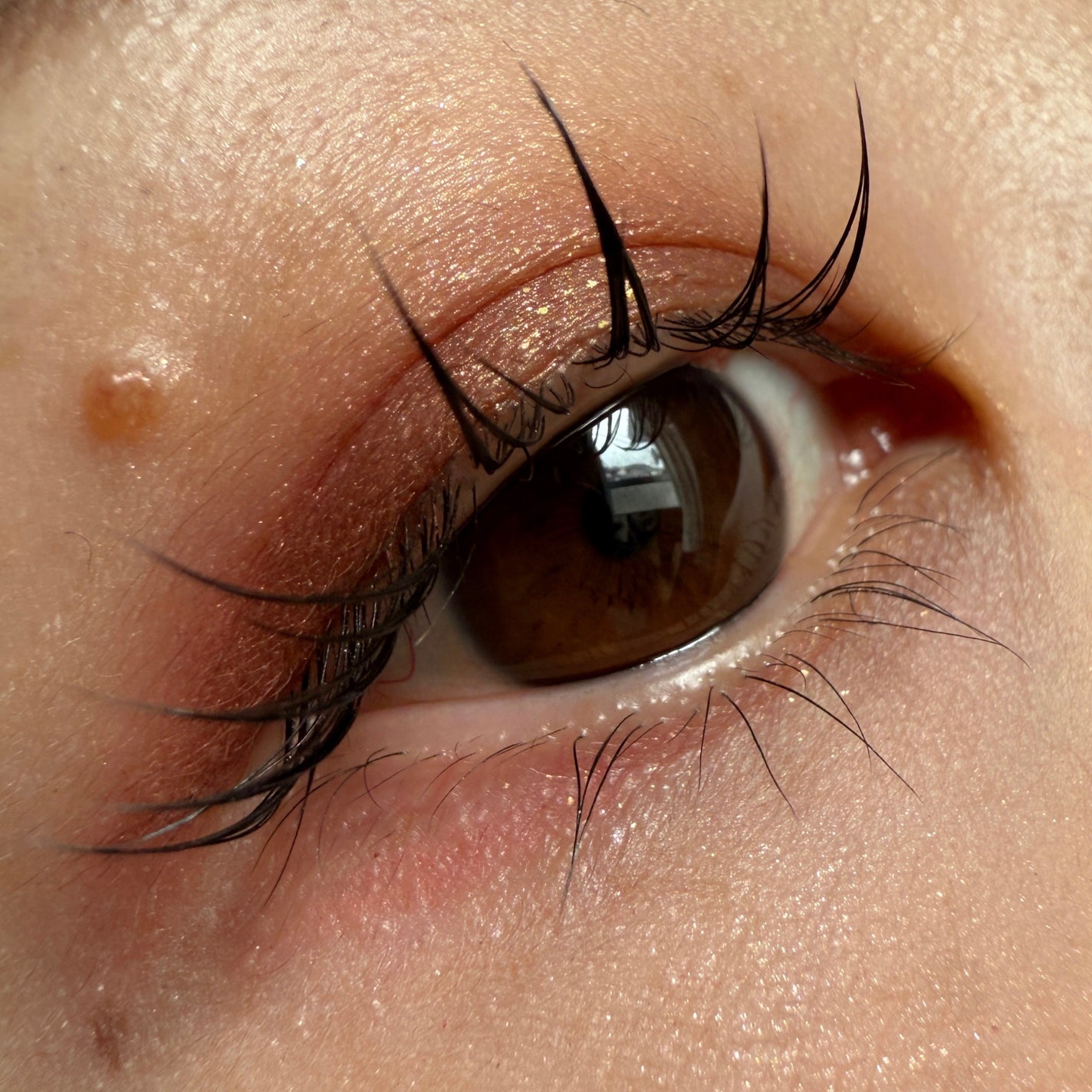 ポップ パウダージェル アイシャドウ/SHISEIDO/単色アイシャドウを使ったクチコミ(1枚目)