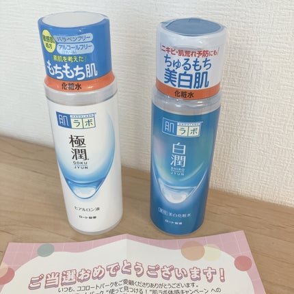 白潤 薬用美白化粧水/肌ラボ/化粧水を使ったクチコミ(1枚目)