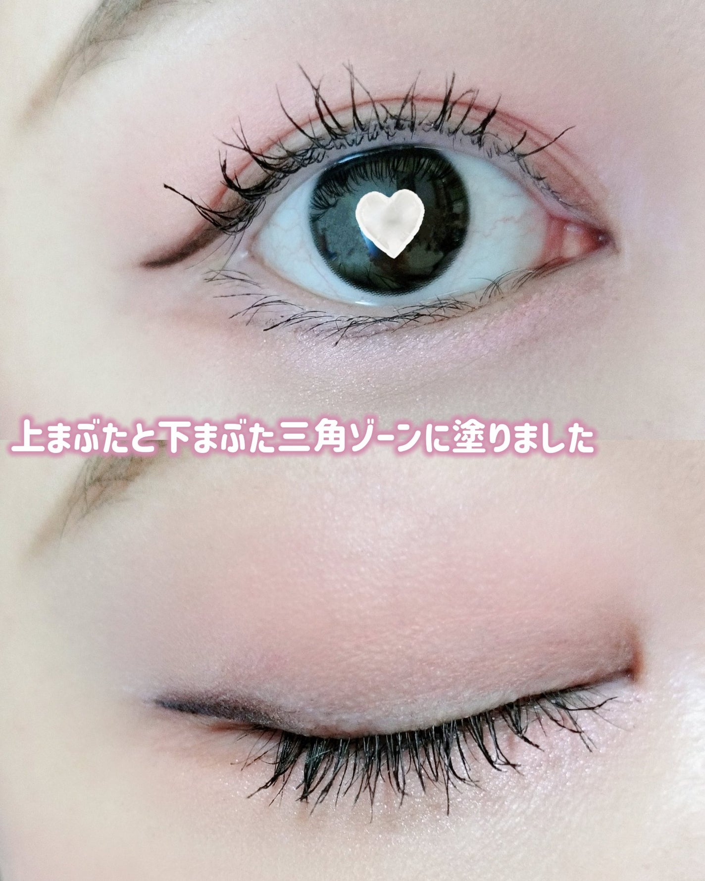 STEP BASIC EYESHADOW/Ameli/単色アイシャドウを使ったクチコミ(6枚目)