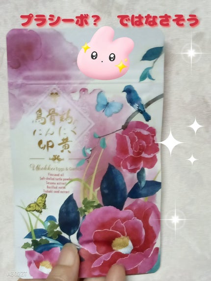 烏骨鶏のにんにく卵黄/ツバキ薬粧/健康サプリメントを使ったクチコミ(1枚目)