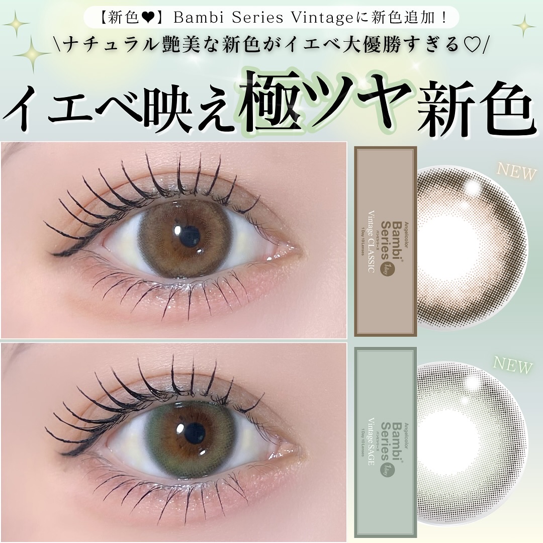 Angelcolor Bambi Series Vintage 1day/AngelColor/ワンデー（１DAY）カラコンを使ったクチコミ（1枚目）