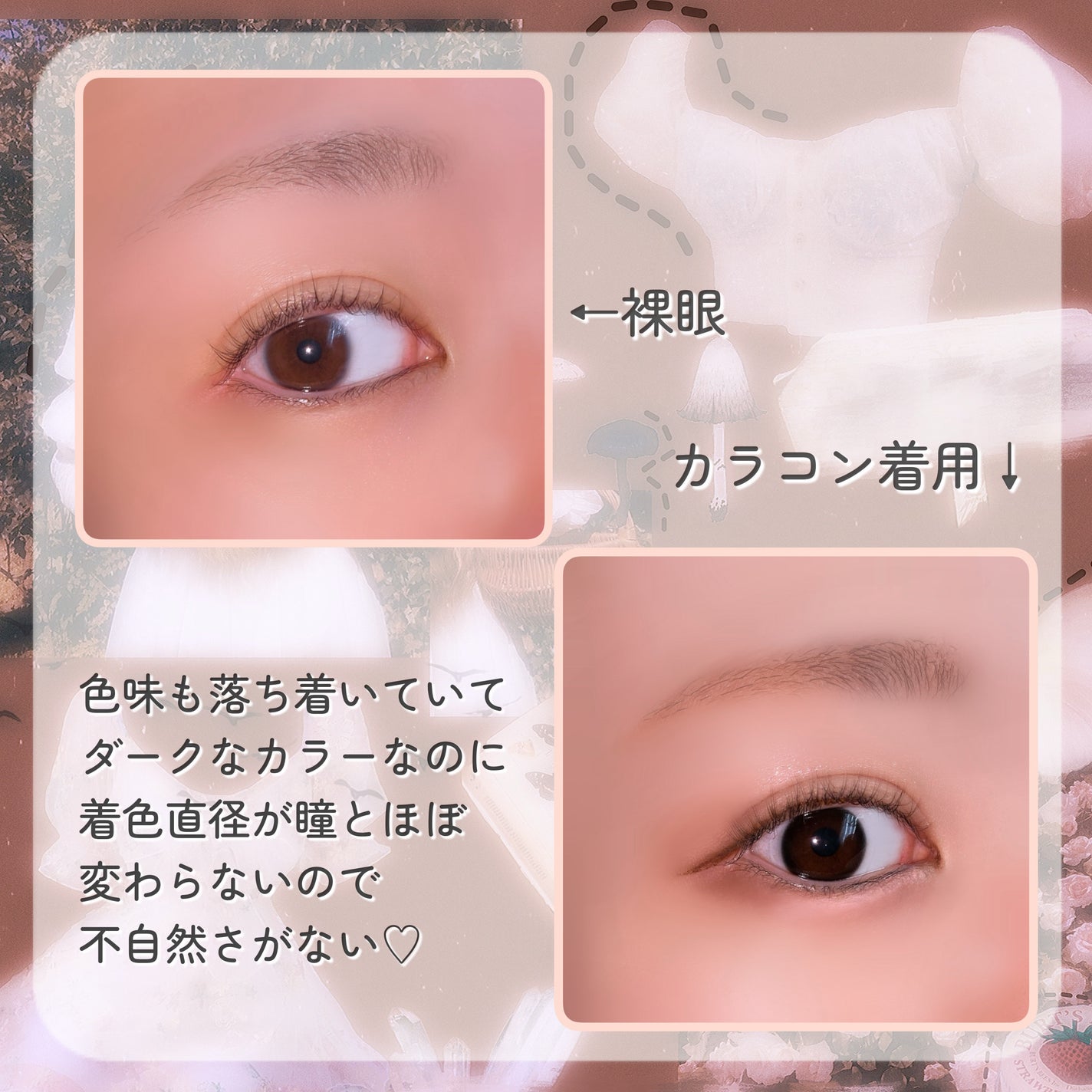 CLASSI ESSENTIAL/Classilens/1ヶ月(1MONTH)カラコンを使ったクチコミ(3枚目)