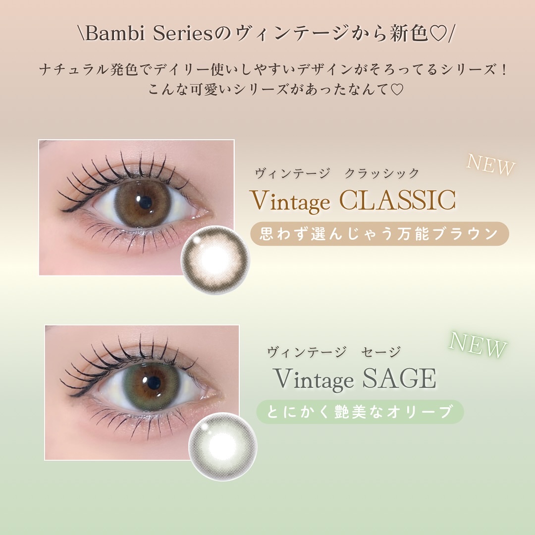 Angelcolor Bambi Series Vintage 1day/AngelColor/ワンデー（１DAY）カラコンを使ったクチコミ（2枚目）