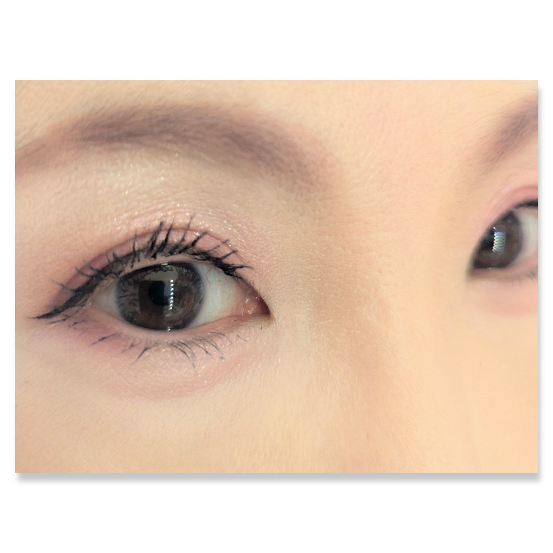 プティパレットアイズ/キャンメイク/パウダーアイシャドウを使ったクチコミ（2枚目）