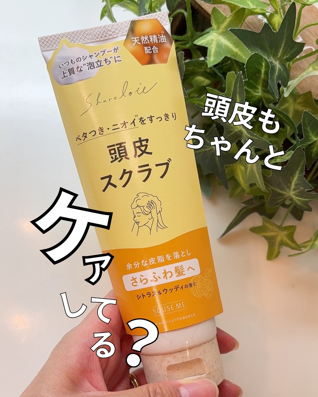 シェアロユー ヘッドスクラブ シトラス&ウッディの香り 200g/shareloù/ヘッドスクラブを使ったクチコミ（1枚目）