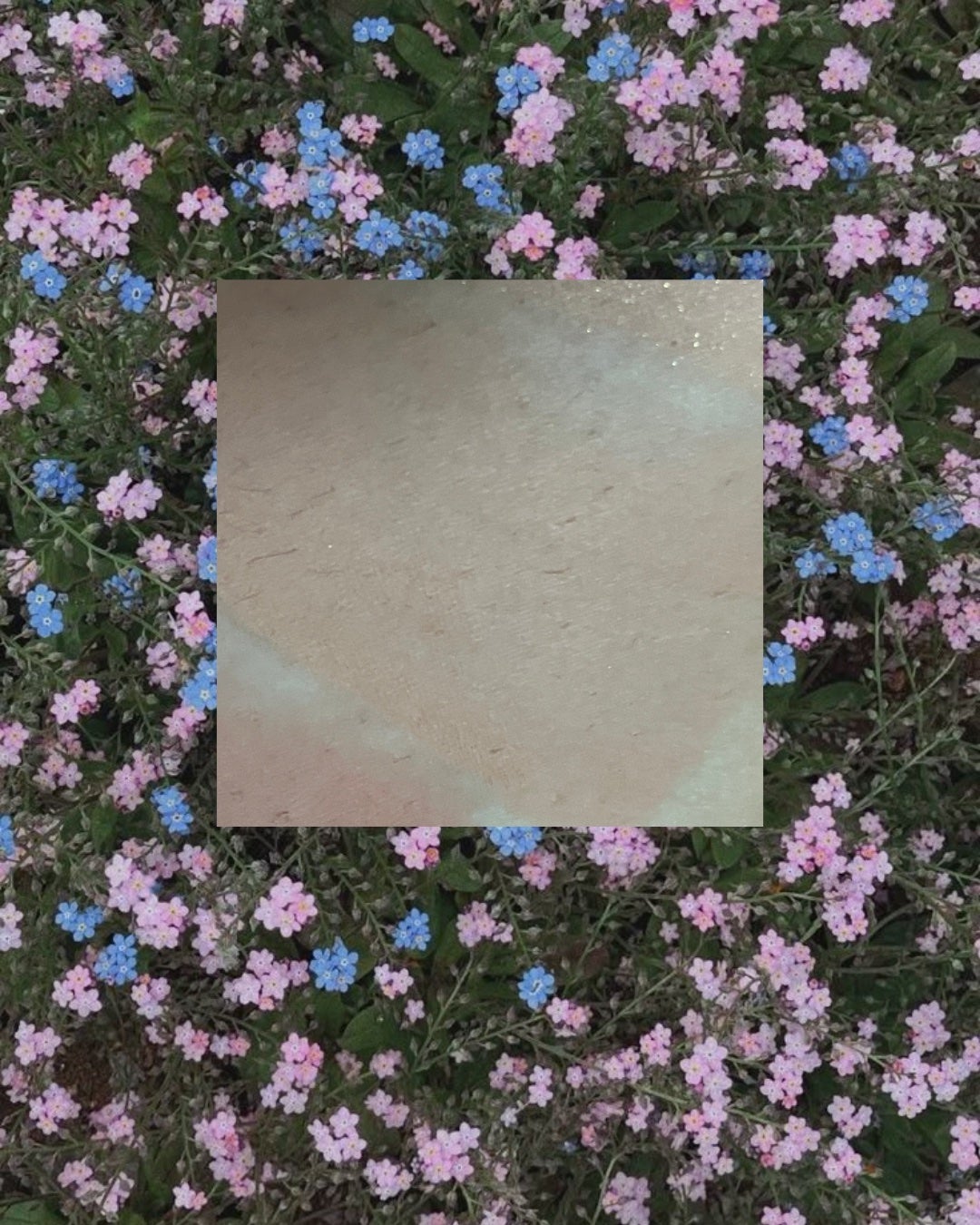 シャドウパレット/dasique/アイシャドウパレットを使ったクチコミ(2枚目)