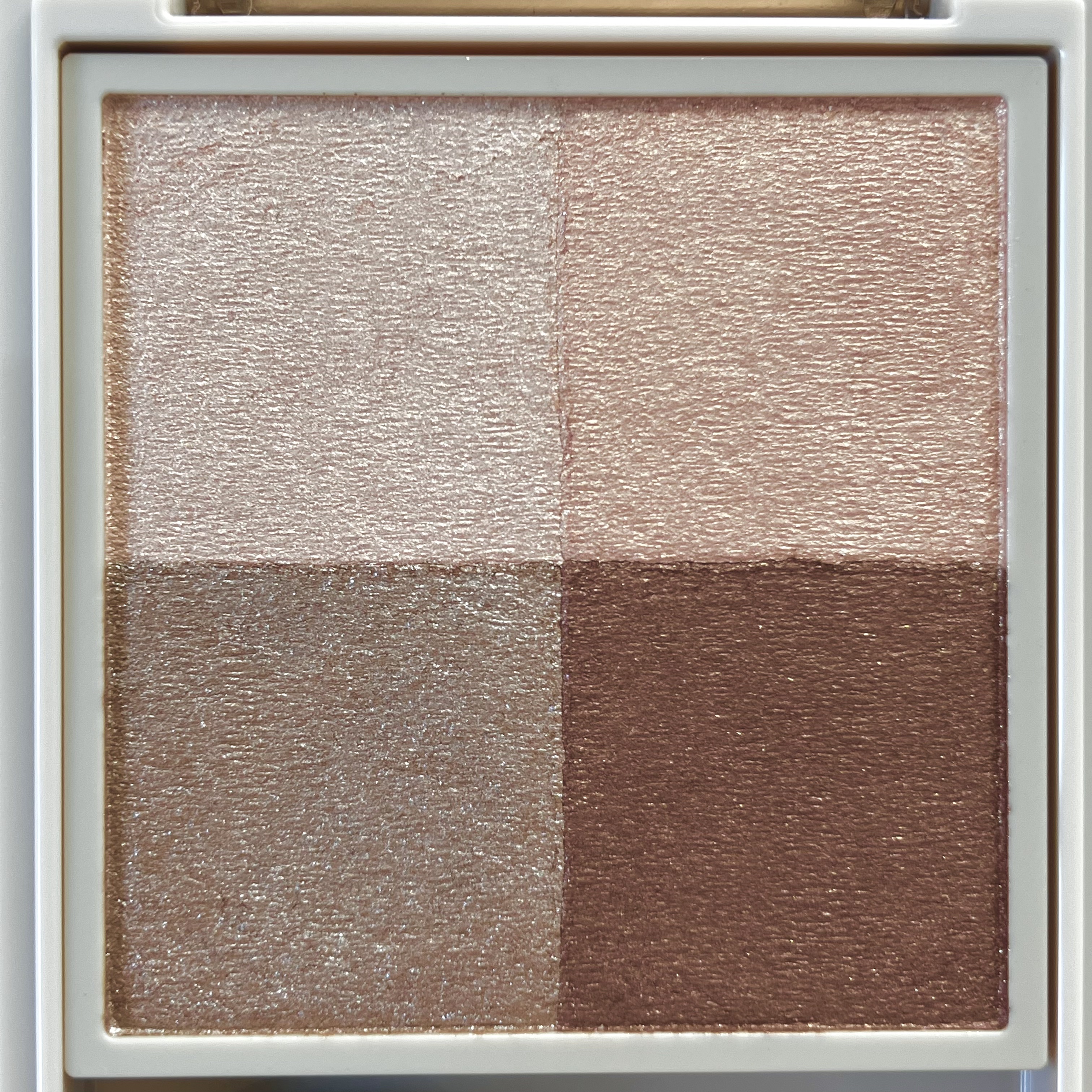 ニュアンス デューイ クリエイター/Visée/アイシャドウパレットを使ったクチコミ（3枚目）