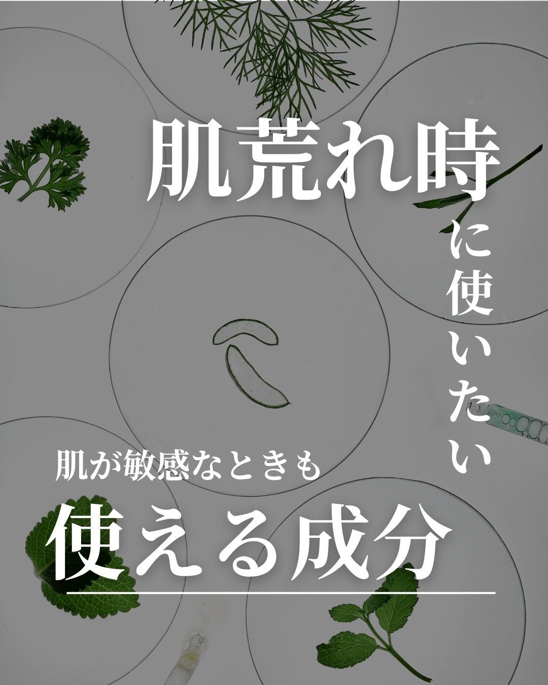 保湿化粧水 しっとり/カウブランド無添加/化粧水を使ったクチコミ(1枚目)