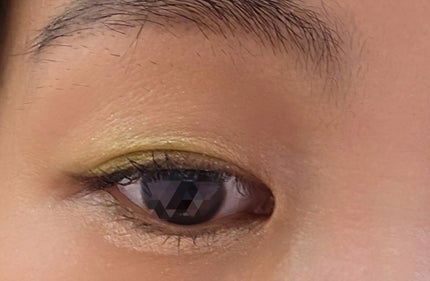 カラーステイ ルックス ブック パレット/REVLON/アイシャドウパレットを使ったクチコミ(3枚目)