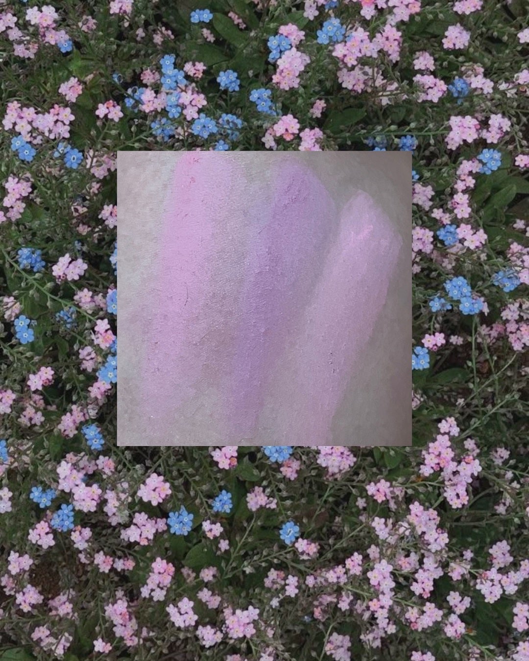 ブレンディングムードチーク/dasique/パウダーチークを使ったクチコミ(2枚目)