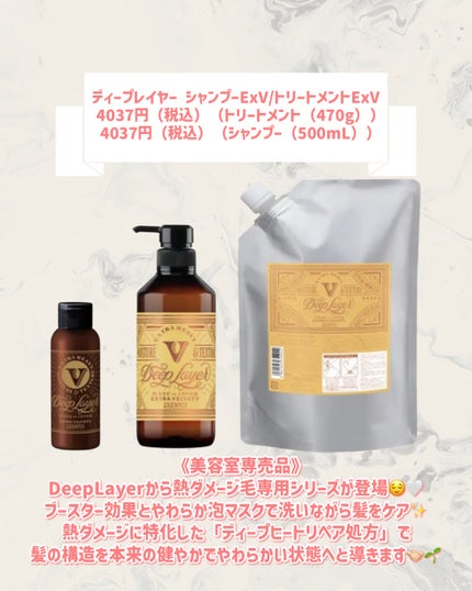 ディープレイヤー シャンプーExV/トリートメントExV 【プロフェッショナルユース】 シャンプー(500mL)/DeepLayer/サロンシャンプーの画像